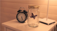Lọ bướm bay Butter Fly Jar